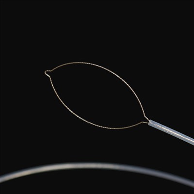 જડબાના પ્રકાર વિદેશી બોડી ફોર્સ