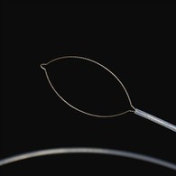 ચોખ્ખા પ્રકારના વિદેશી શારીરિક દળ